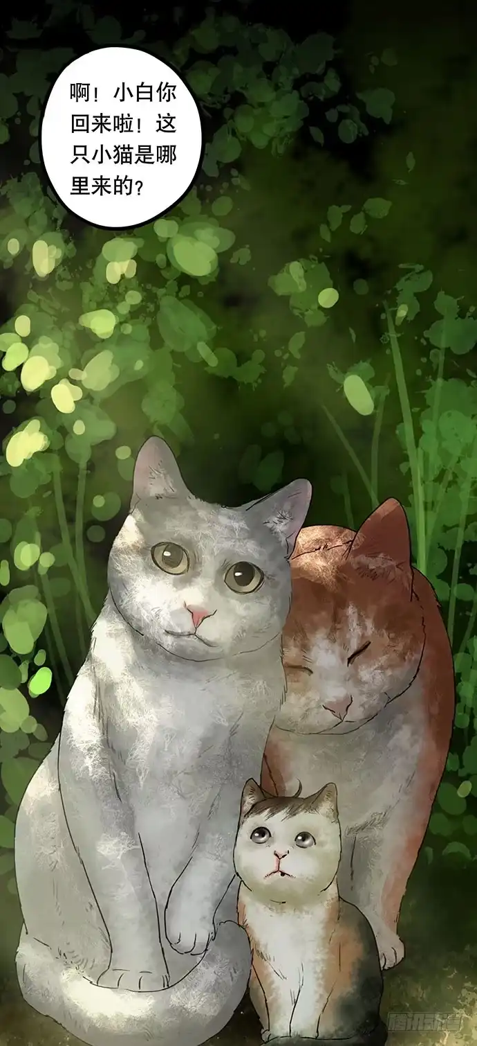 画诡 猫-5 第105页
