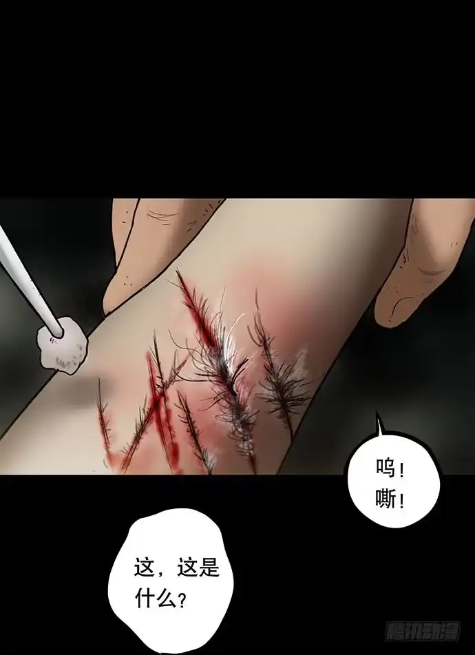 画诡 猫-5 第67页
