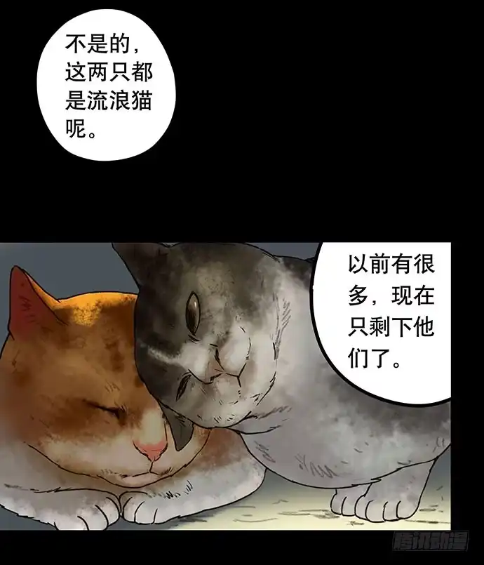 画诡 猫-5 第38页