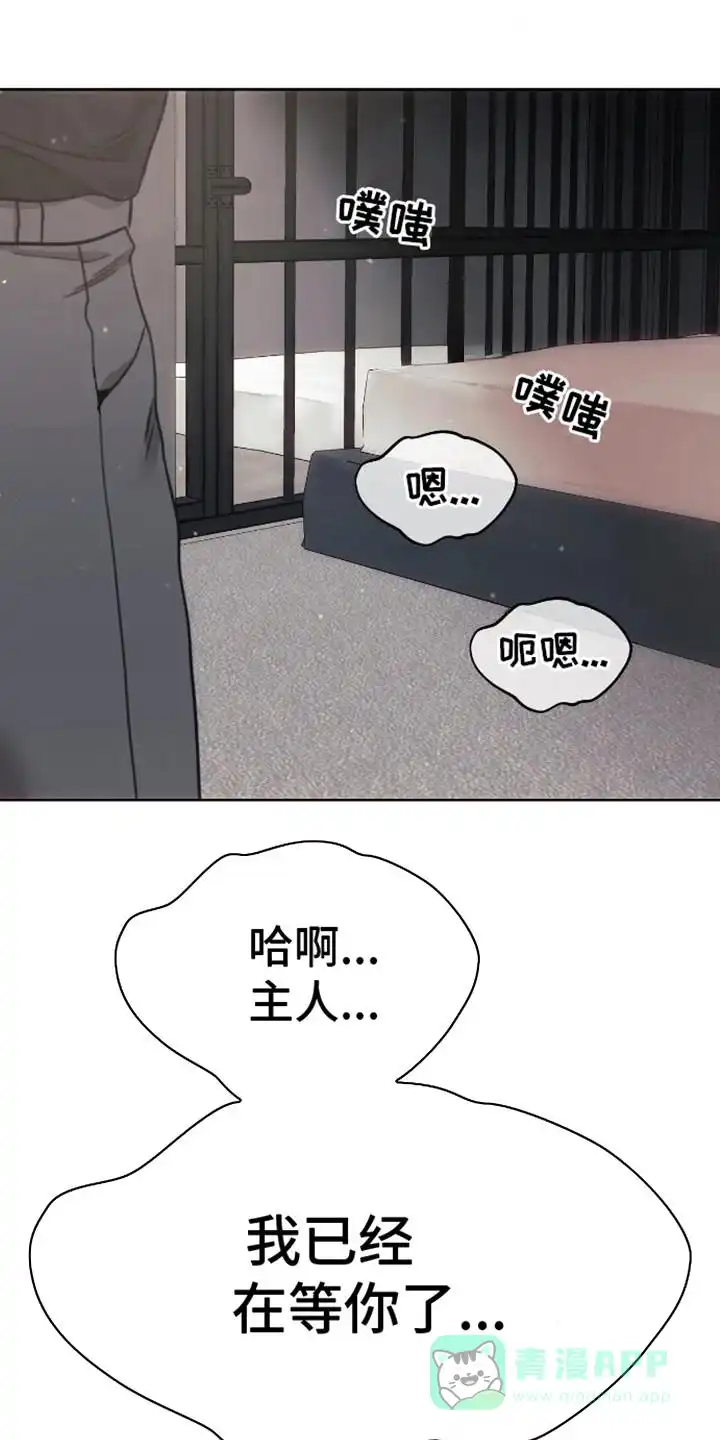 坏苹果狗笼 第15话 第16页