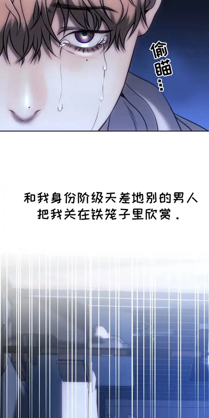 坏苹果狗笼 第6话 第13页
