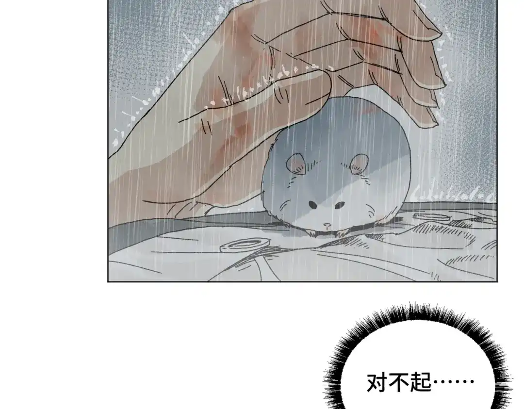 《荒岛》法外制裁者 第158页