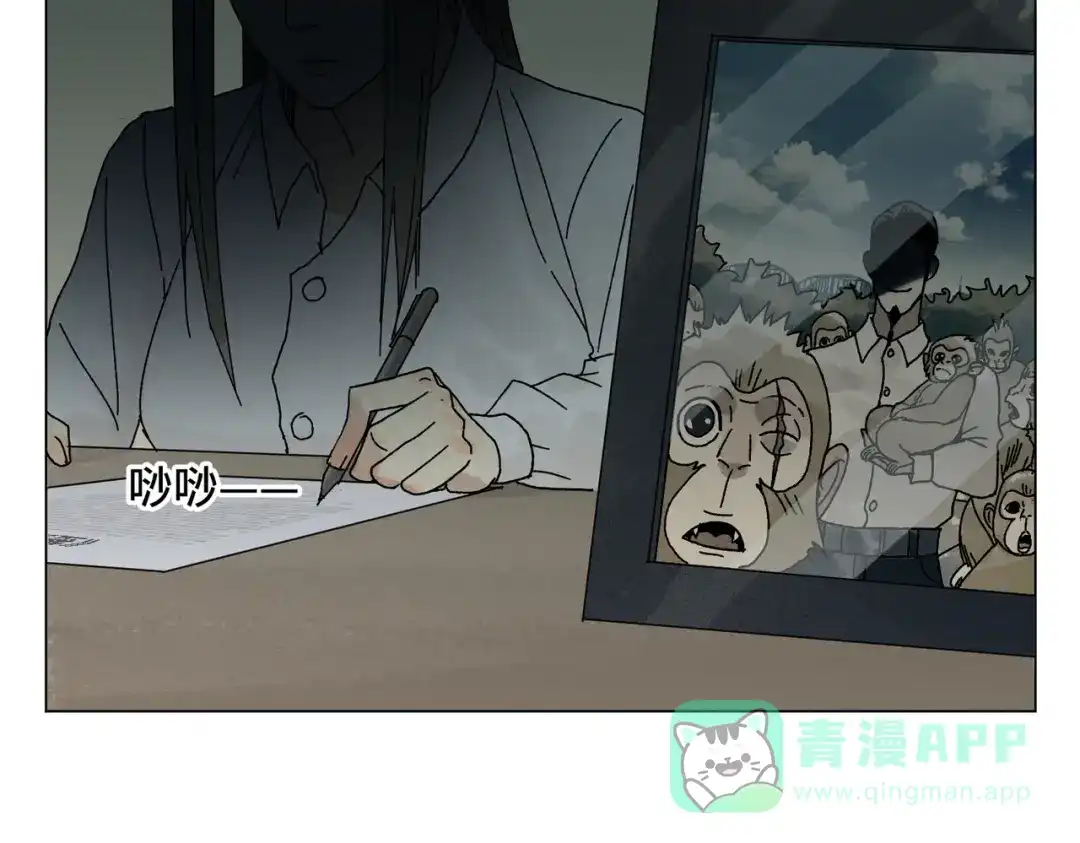 《荒岛》法外制裁者 第191页