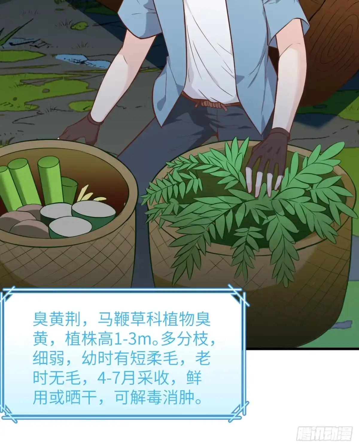 《荒岛余生之跨越亿年》002 砂糖凉粉 第42页