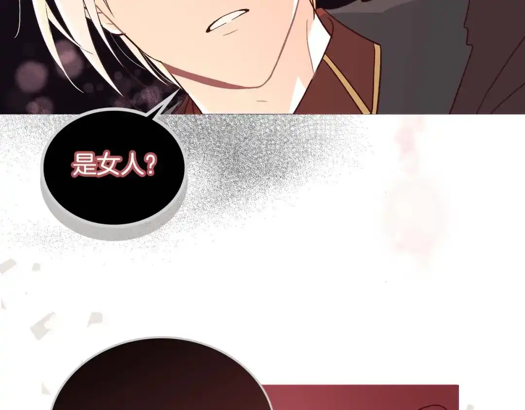 皇帝与女骑士 你绝对没见过这种钢铁女骑士！ 第51页