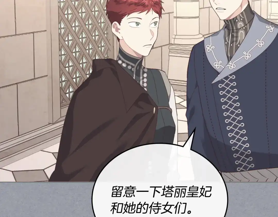 皇帝与女骑士 第103话 求婚 第17页