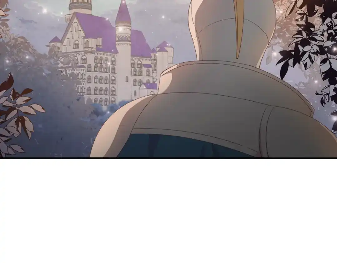 皇帝与女骑士 第113话 夜间活动 第114页