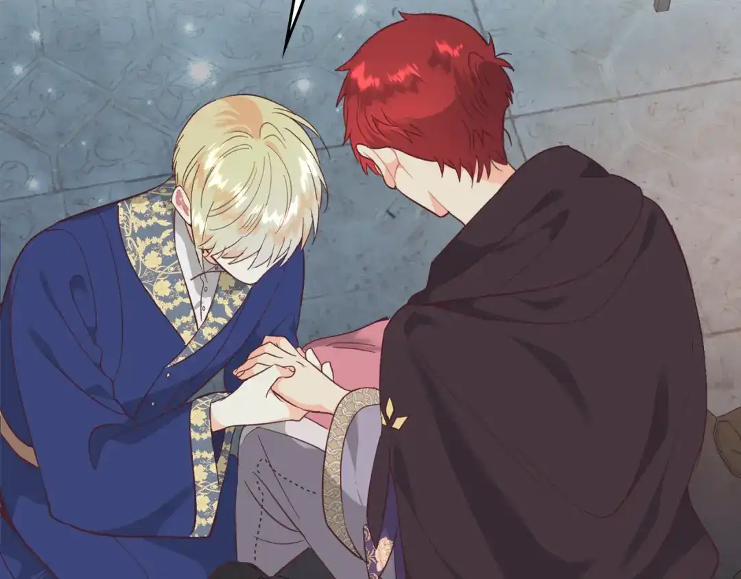 皇帝与女骑士 第159话 首次告白就被拒？ 第27页