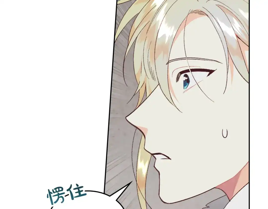 皇帝与女骑士 第175话 你一点都不丑！ 第101页