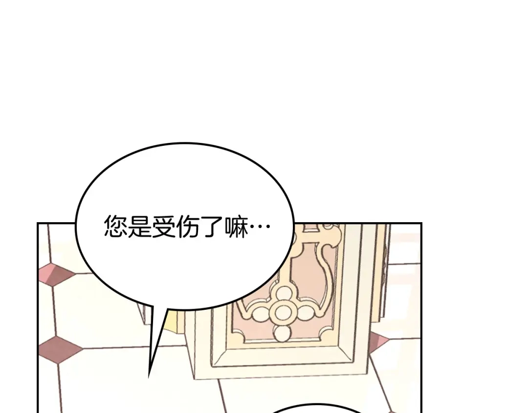皇帝与女骑士 第176话 前妻的祝福 第42页