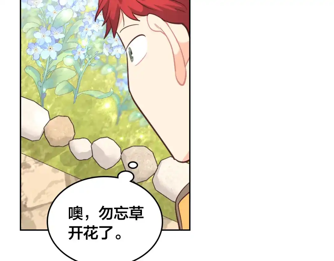 皇帝与女骑士 第177话 追老婆就要厚脸皮！ 第43页
