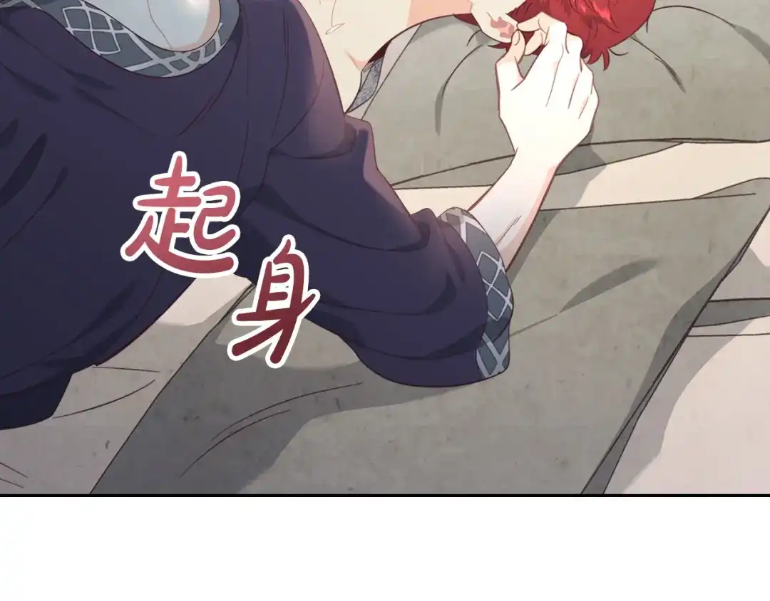 皇帝与女骑士 第182话 我可以爱你吗？ 第100页