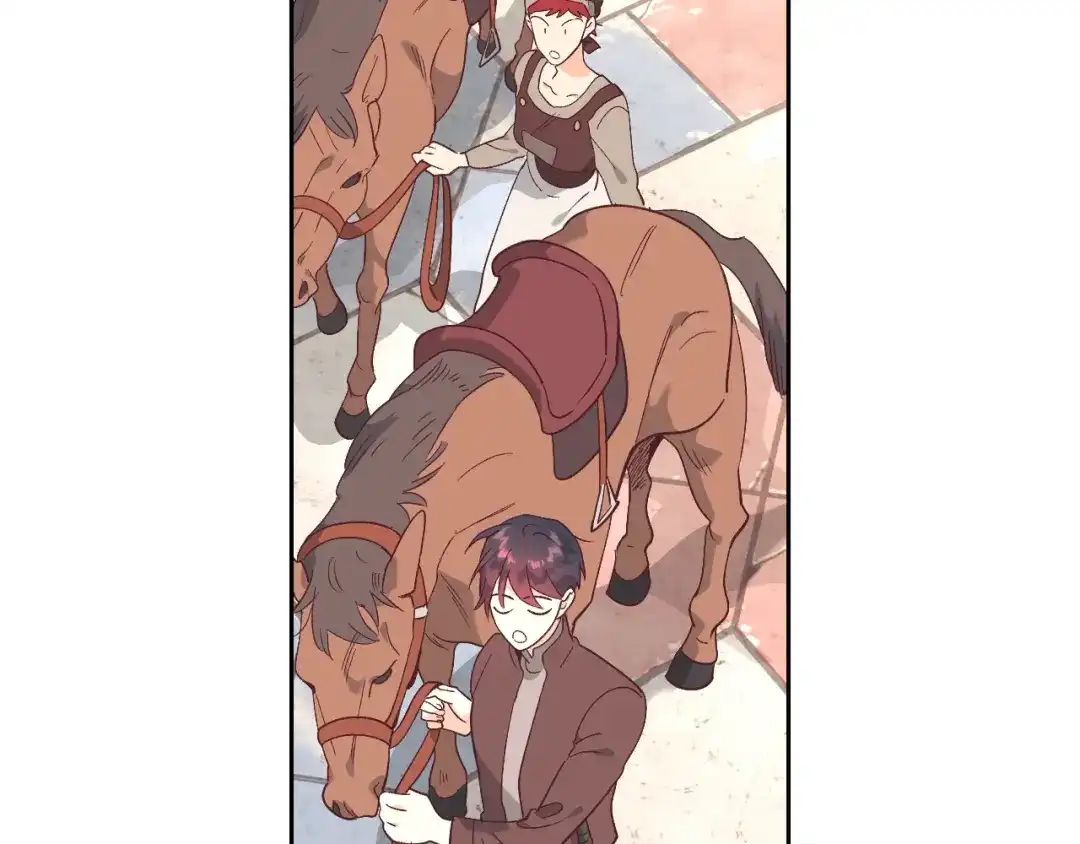 皇帝与女骑士 第193话 重写大陆法律 第28页