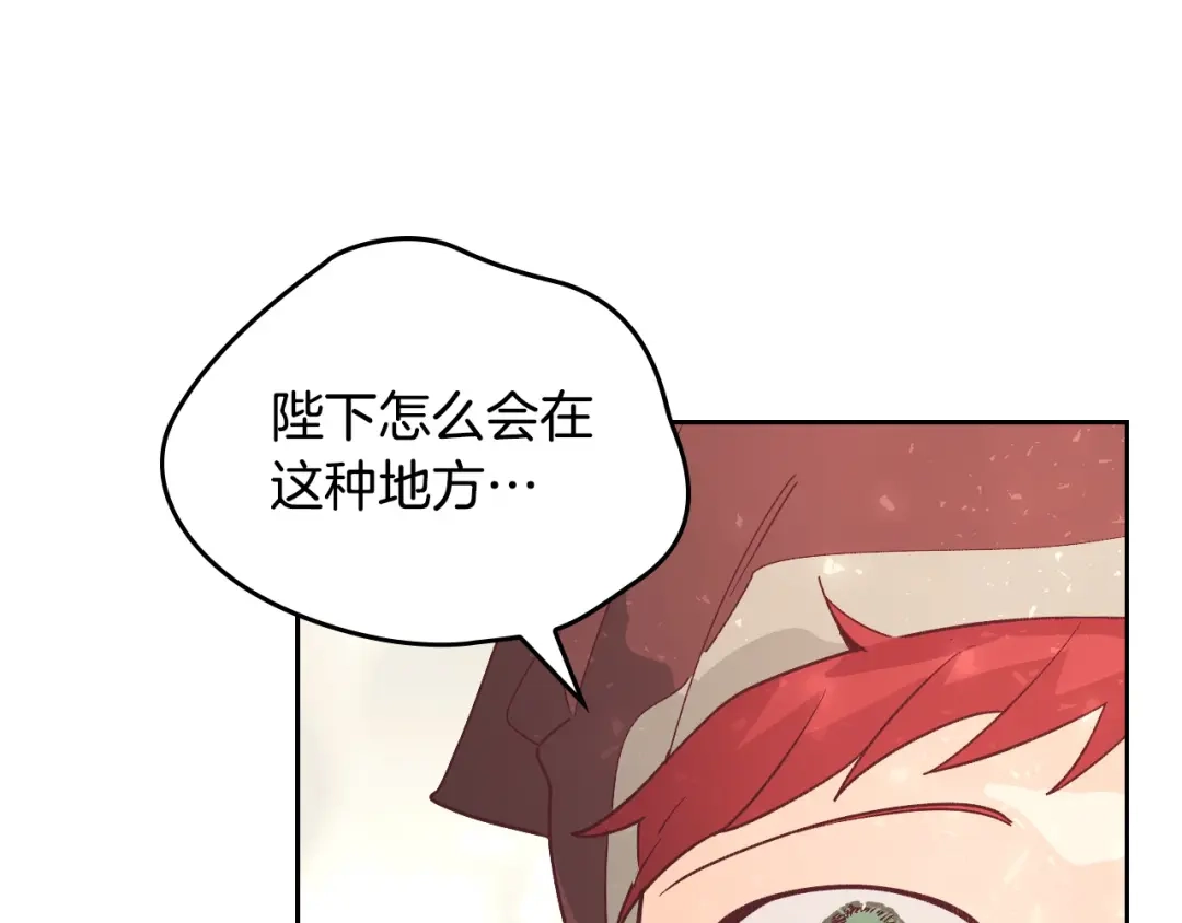 皇帝与女骑士 第193话 重写大陆法律 第71页