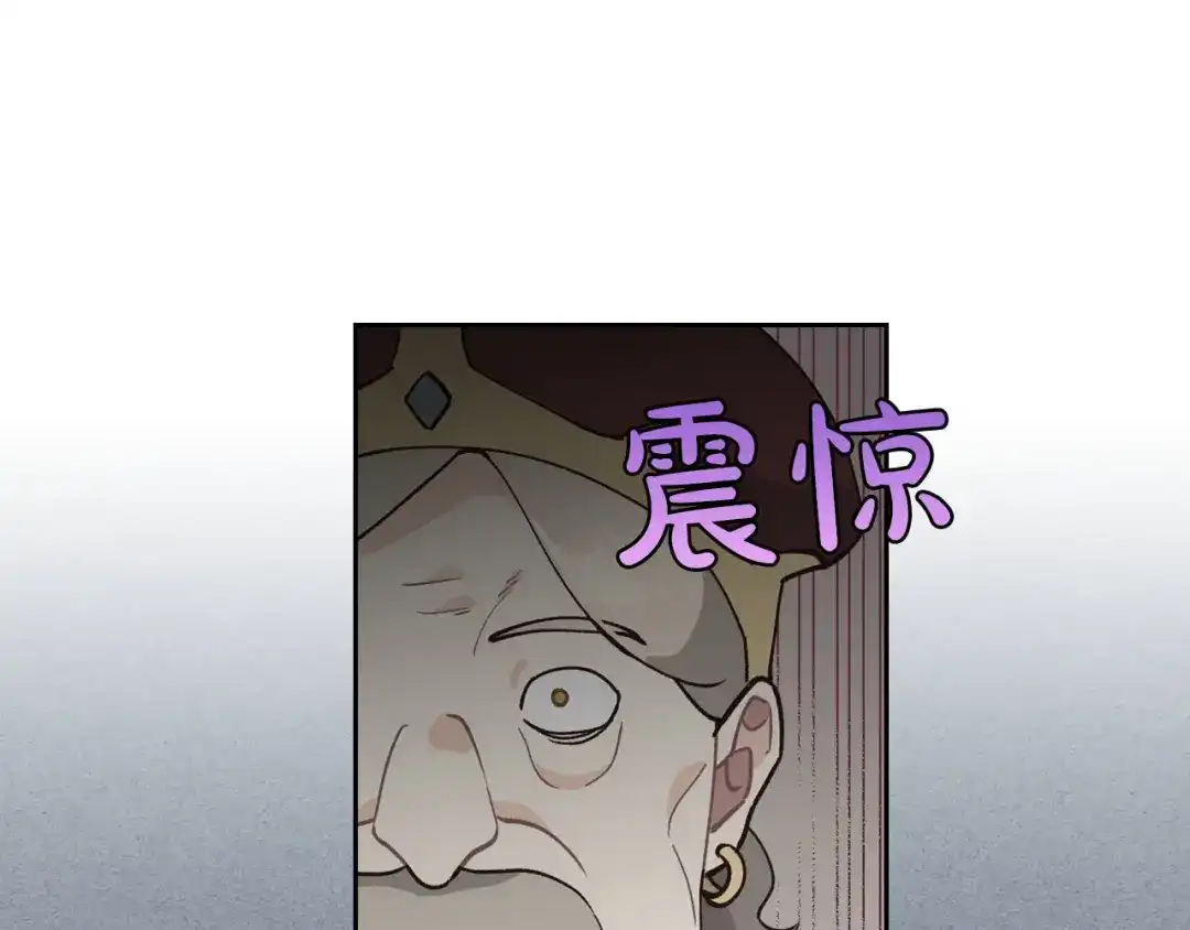 皇帝与女骑士 第28话 敌国公主 第67页