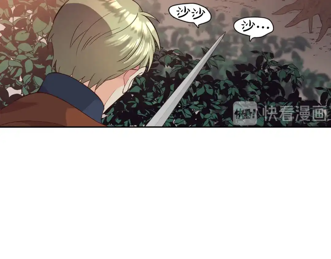 皇帝与女骑士 第36话 披荆斩棘来见你 第19页