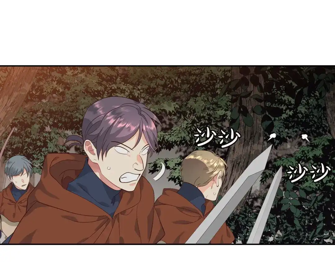 皇帝与女骑士 第36话 披荆斩棘来见你 第29页