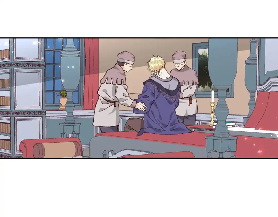 皇帝与女骑士 第41话 唯独对她不一样 第13页