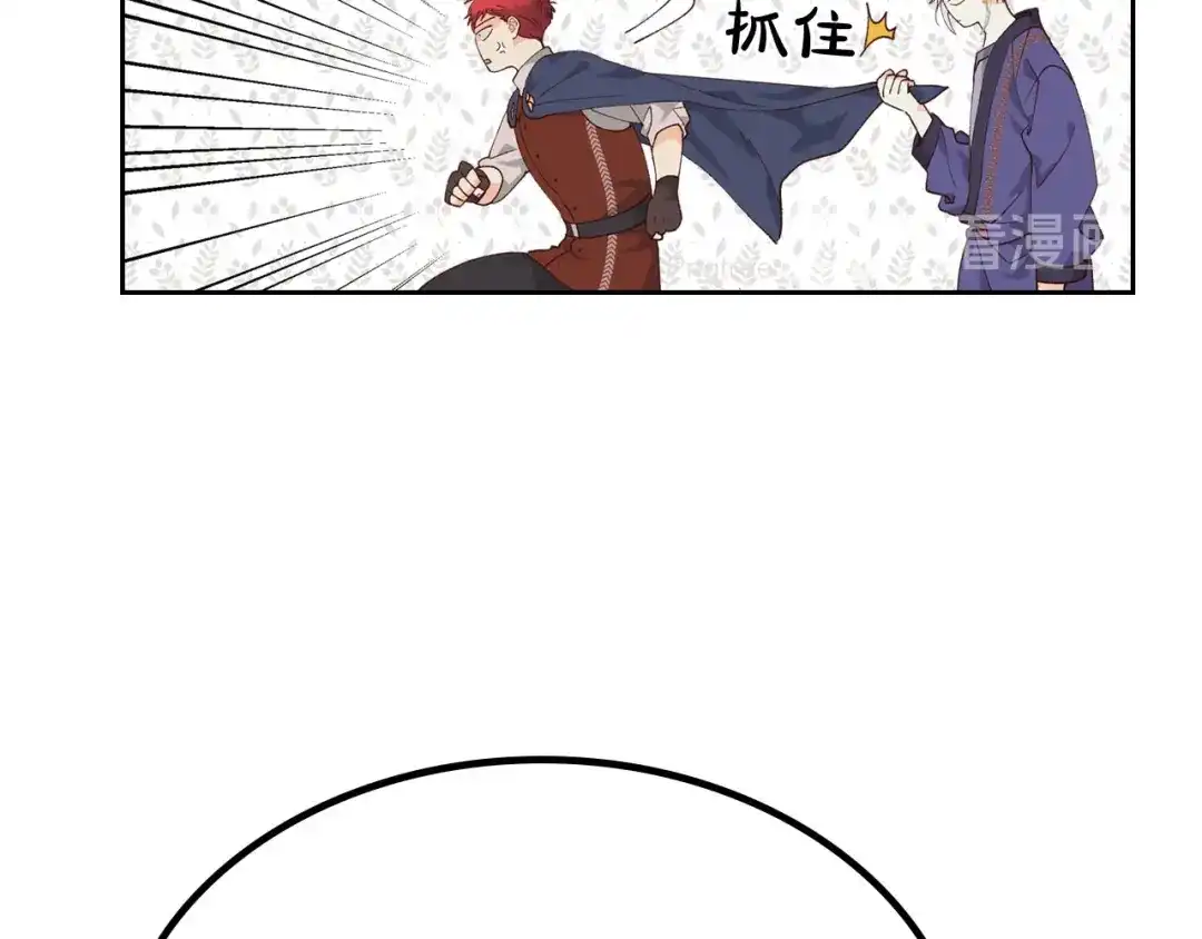 皇帝与女骑士 第41话 唯独对她不一样 第30页