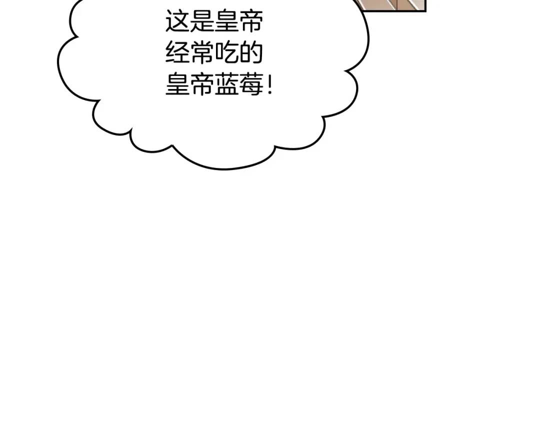 皇帝与女骑士 第48话 荣归故里 第12页