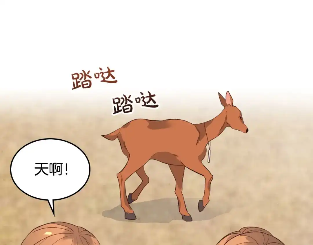 皇帝与女骑士 第55话 得不到的东西 第115页