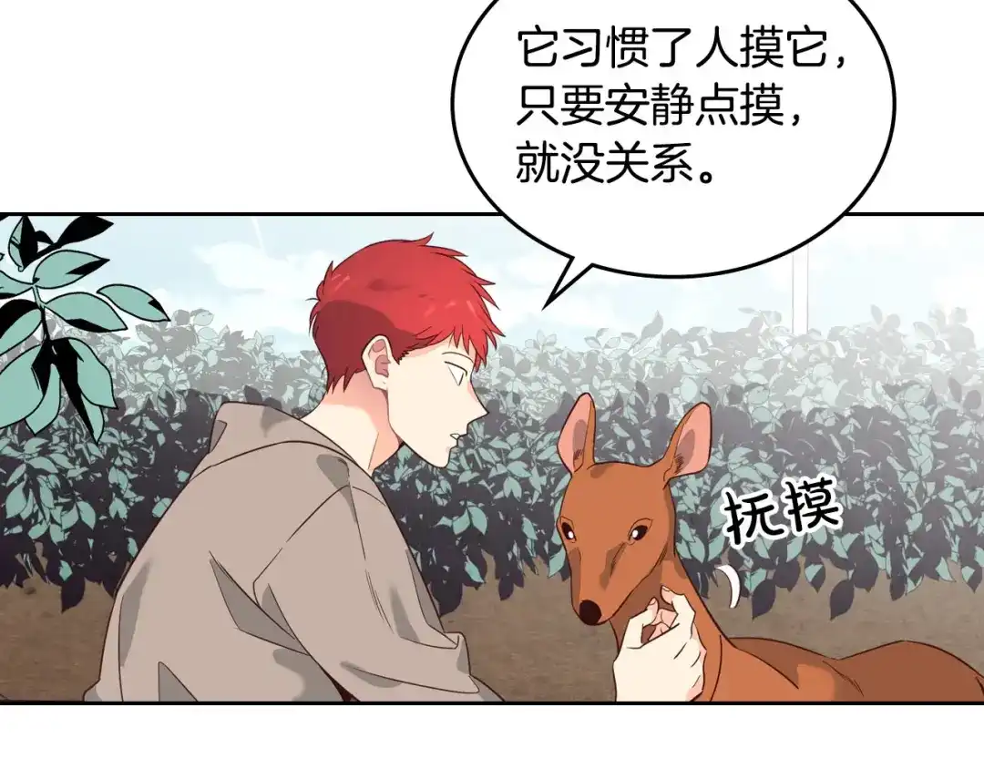 皇帝与女骑士 第55话 得不到的东西 第123页