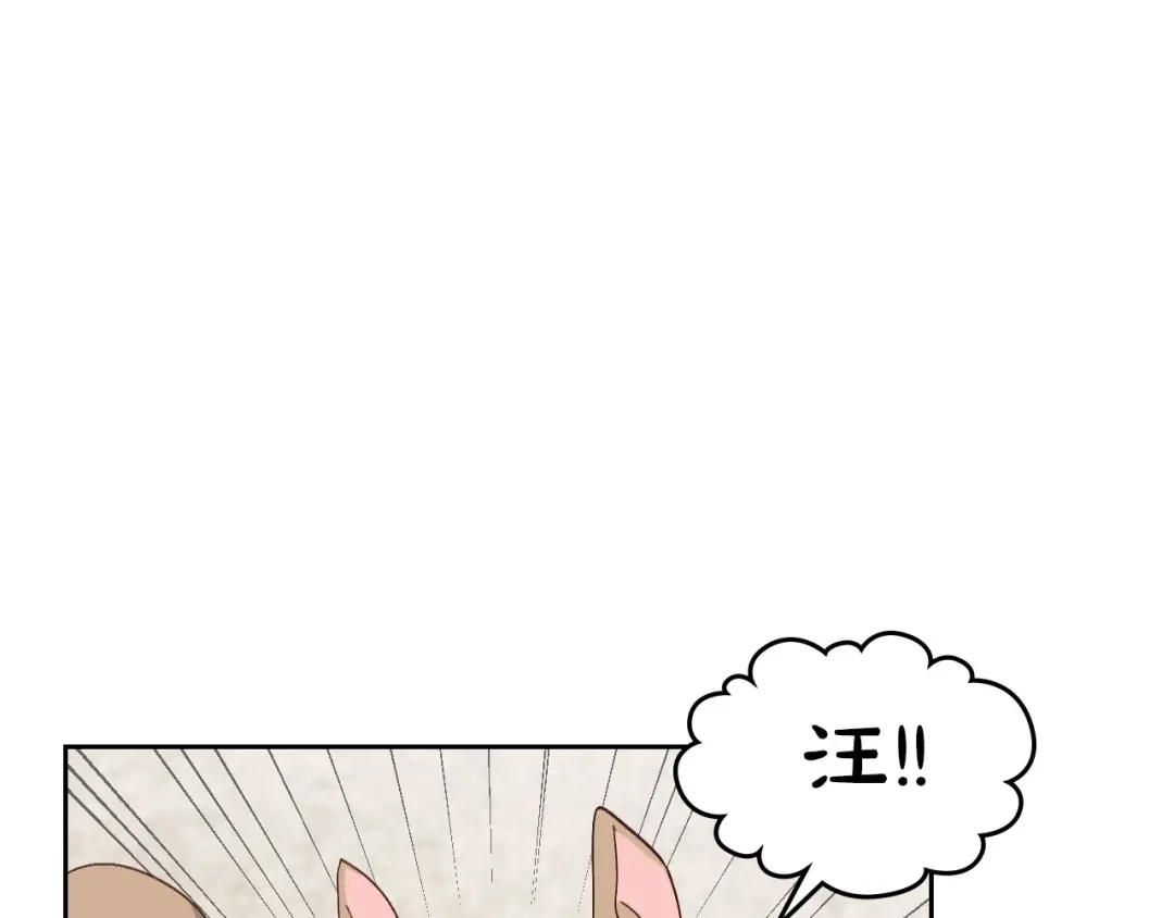 皇帝与女骑士 第61话 介绍相亲 第66页