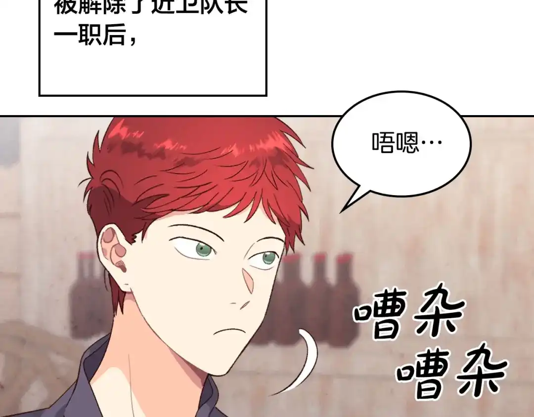 皇帝与女骑士 第73话 被人看扁 第17页