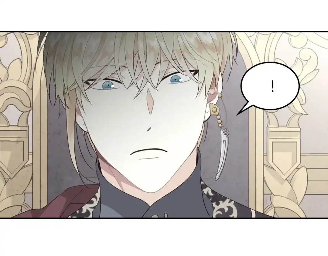 皇帝与女骑士 第78话 新设禁卫队 第67页