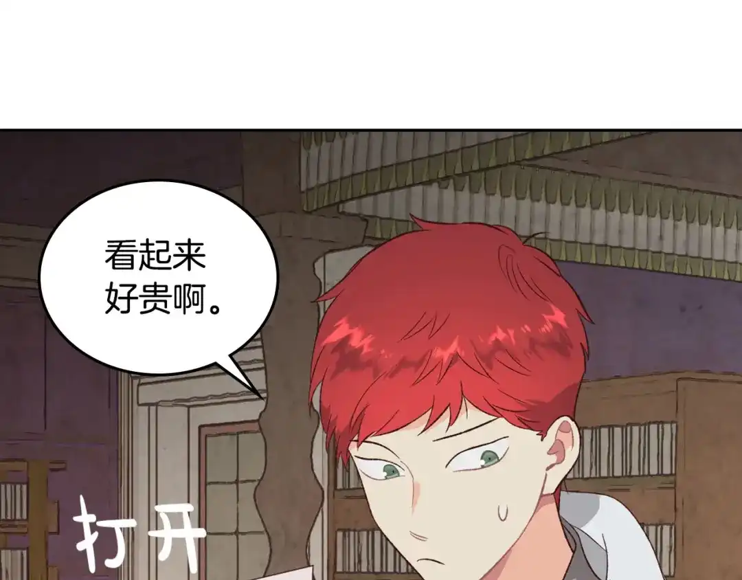 皇帝与女骑士 第82话 政治联姻 第100页