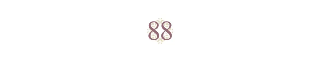 皇帝与女骑士 第88话 误伤 第3页