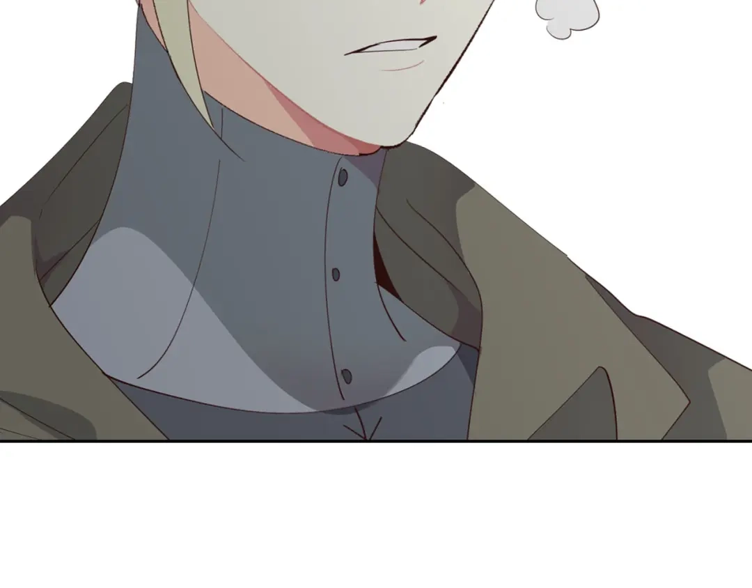 皇帝与女骑士 第90话 皇妃怀孕？ 第117页