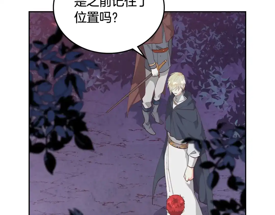 皇帝与女骑士 第97话 誓言依旧 第95页