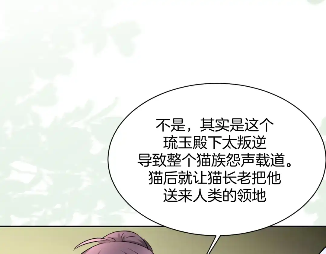 《皇家萌卫》第11话 我的弟弟 第65页