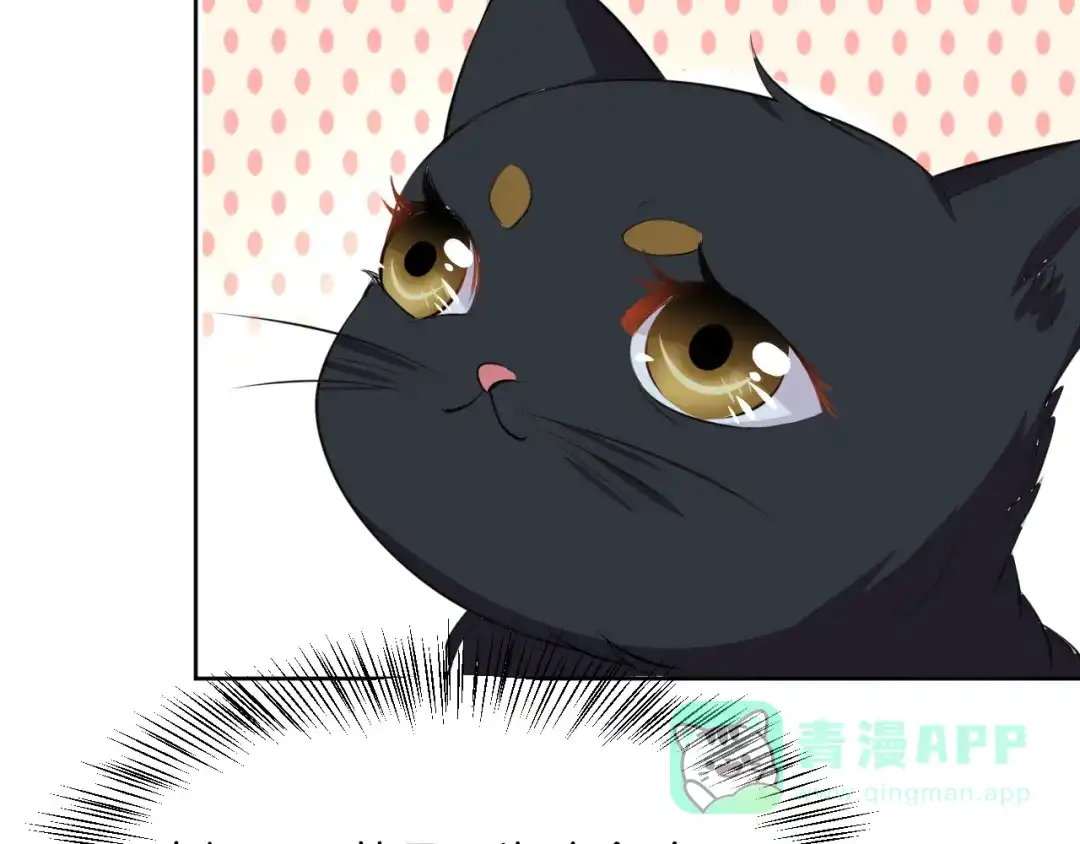 《皇家萌卫》第5话 失忆 第71页
