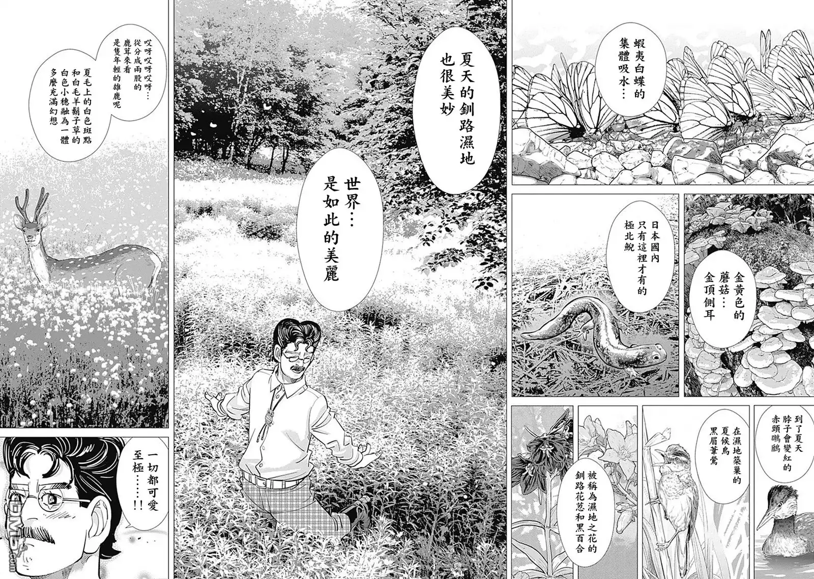 《黄金神威》第108话 大湿地 第13页