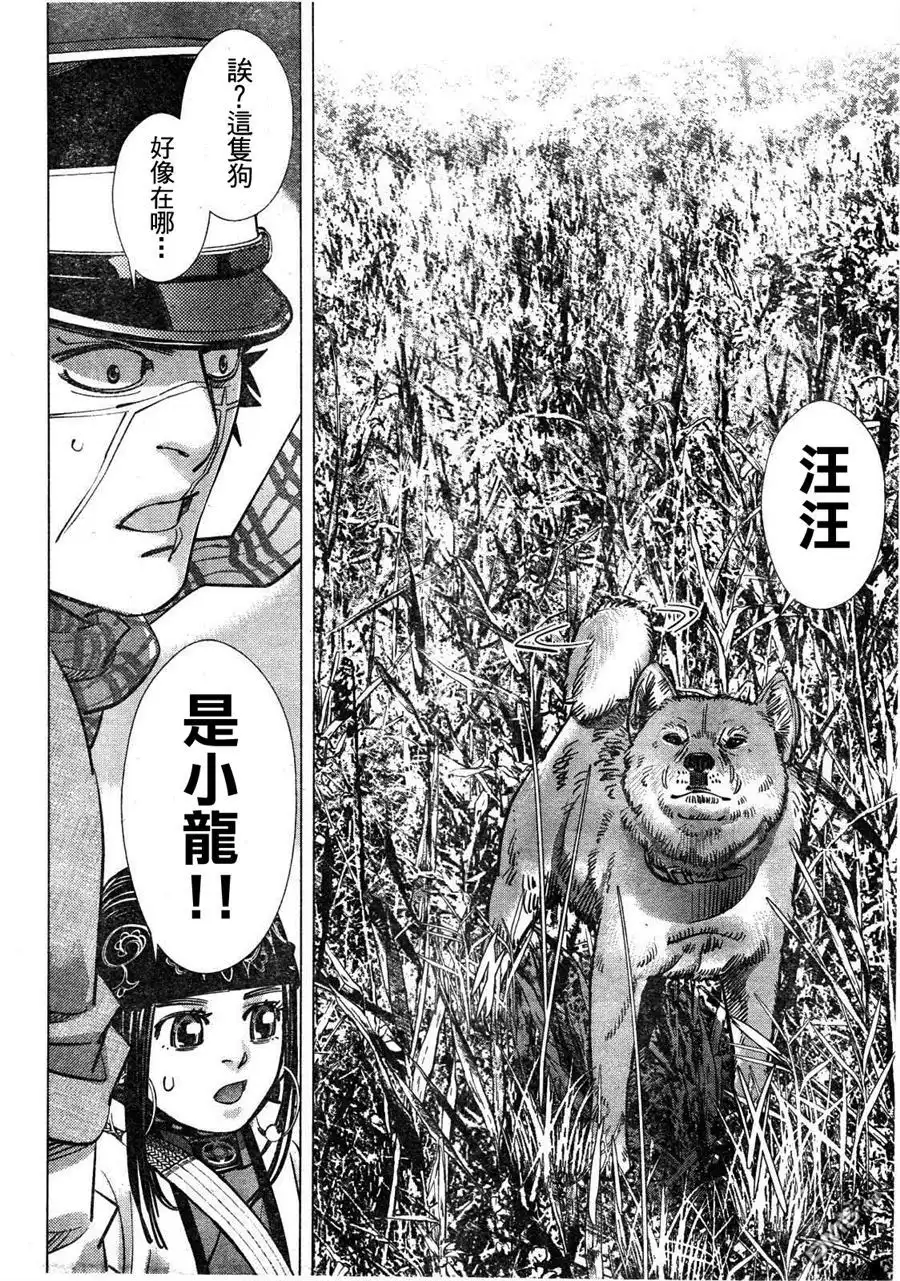 《黄金神威》第111话 遗物 第14页
