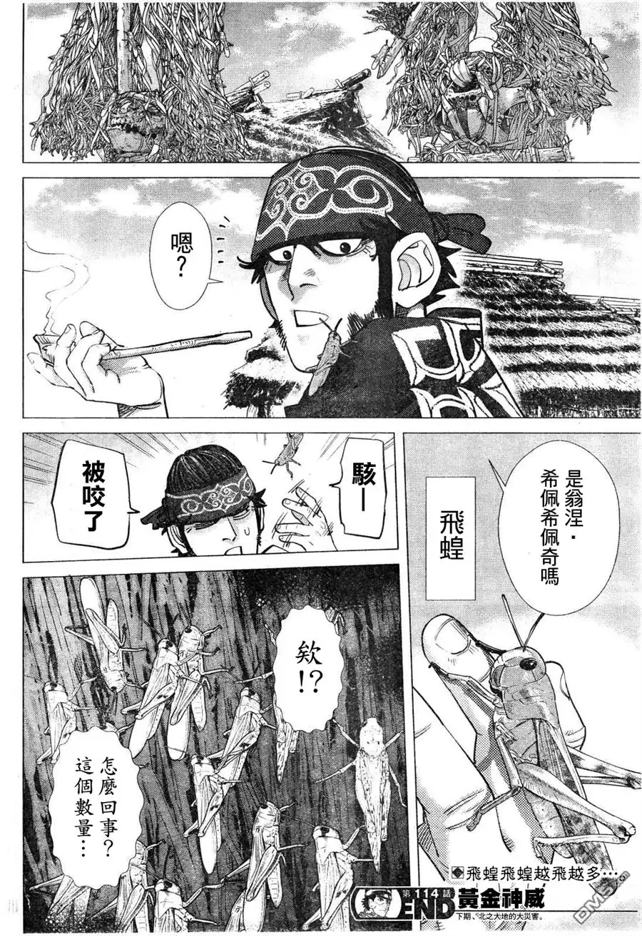 《黄金神威》第114话 艾琴可 第16页