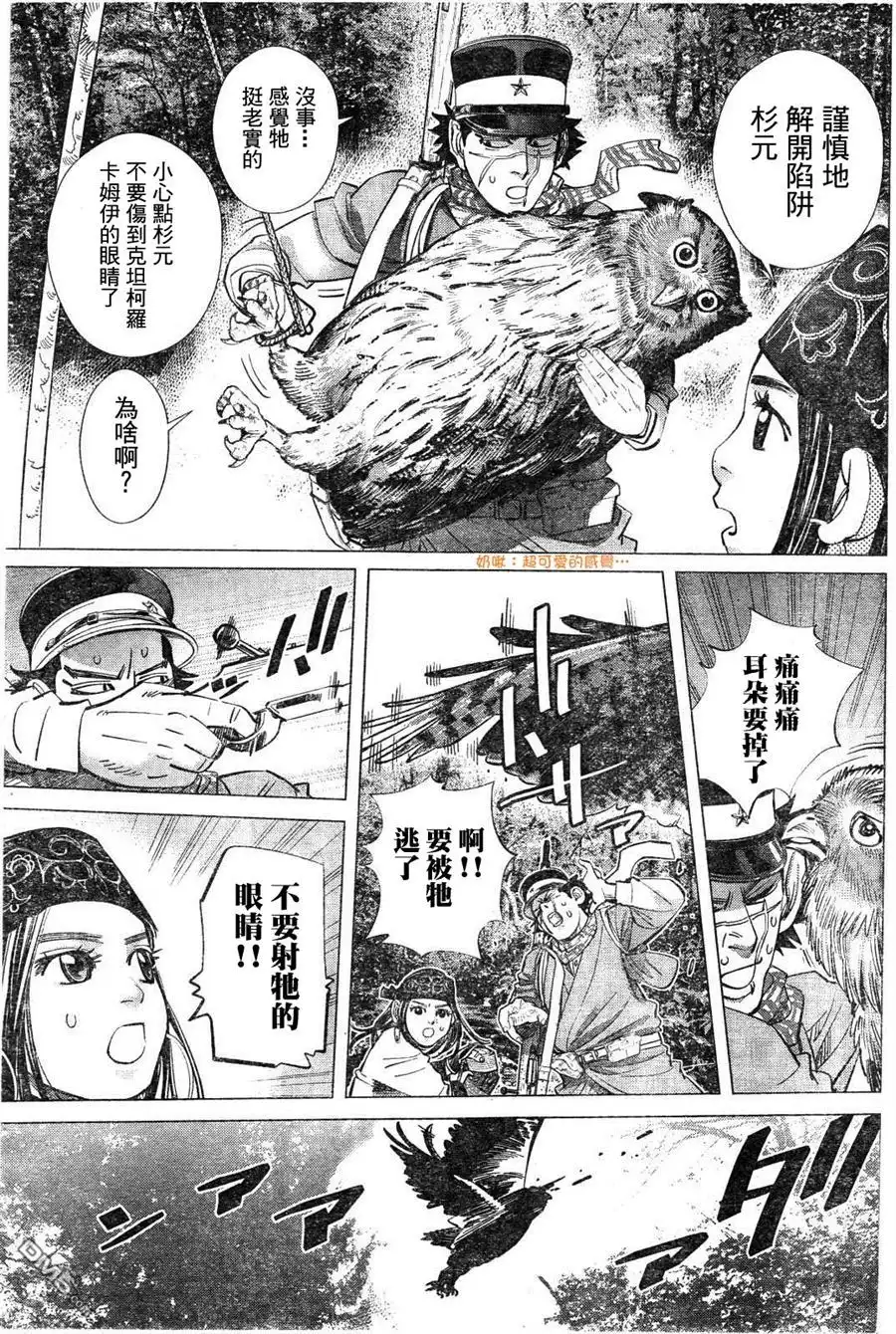 《黄金神威》第119话 克坦柯罗卡姆依 第12页