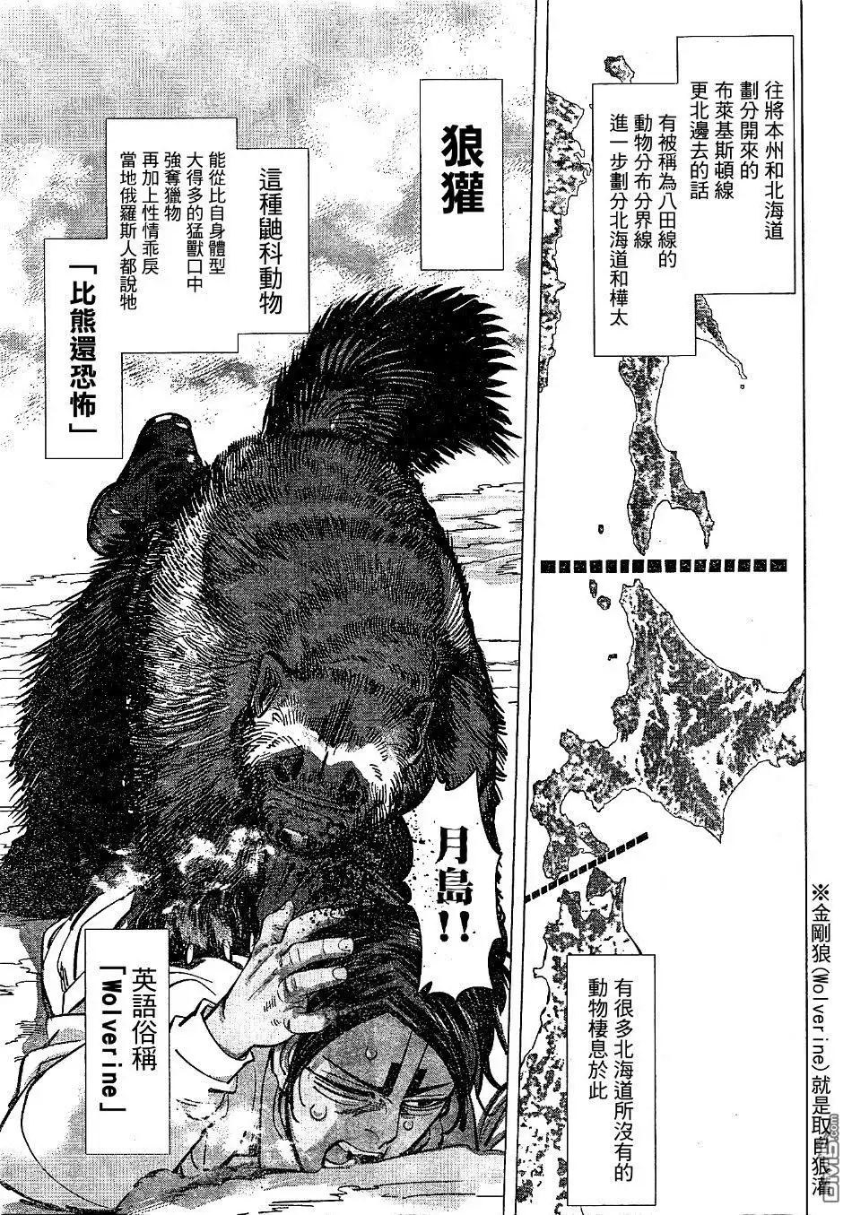 《黄金神威》第141话 桦太阿依努 第5页