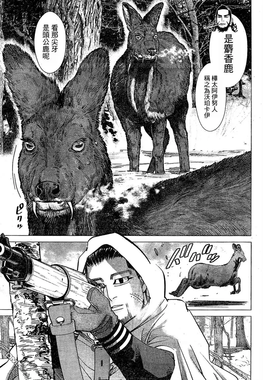 《黄金神威》第151话 麝香鹿们 第6页