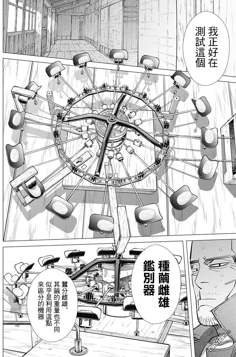 《黄金神威》第175话 茧 第5页