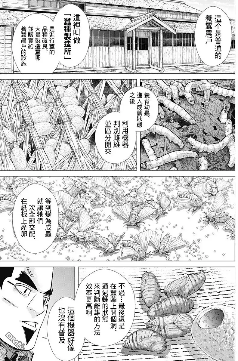 《黄金神威》第175话 茧 第6页