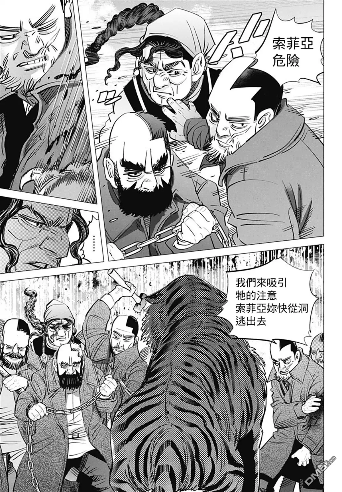 《黄金神威》第181话 西伯利亞虎 第7页