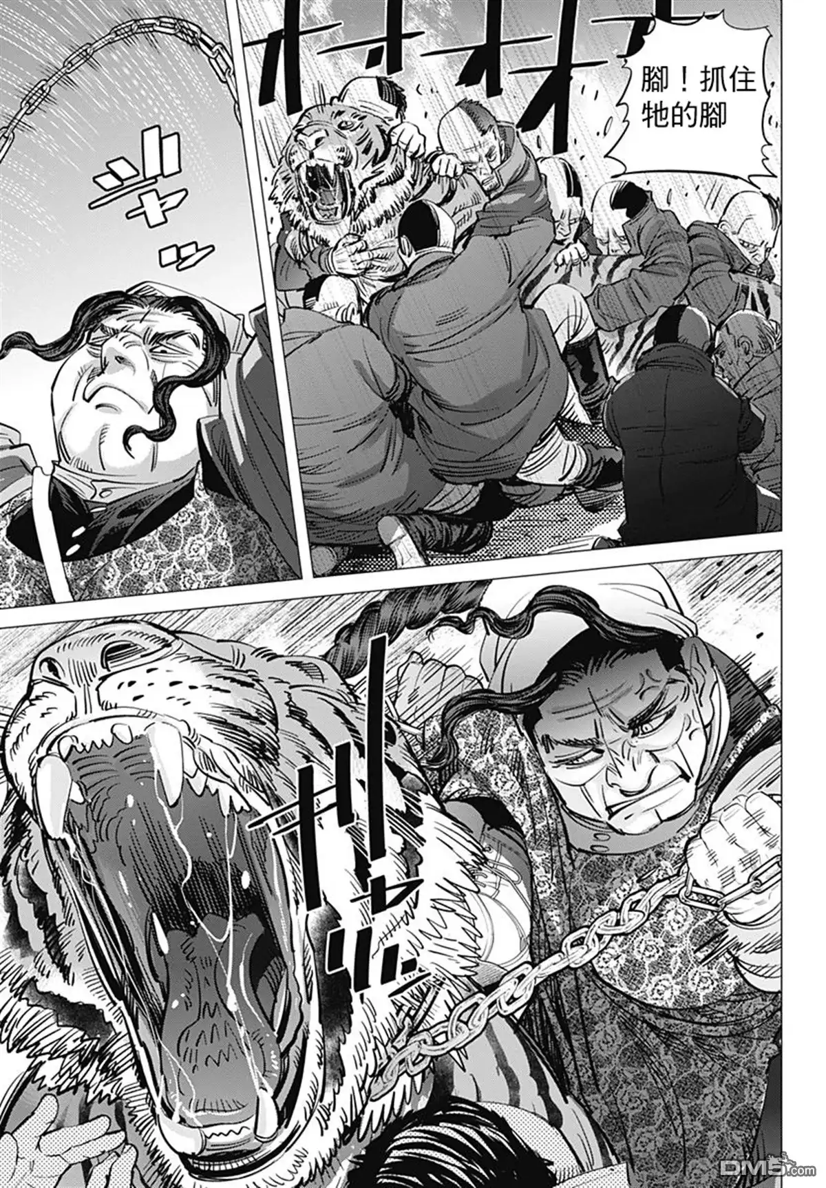 《黄金神威》第181话 西伯利亞虎 第9页
