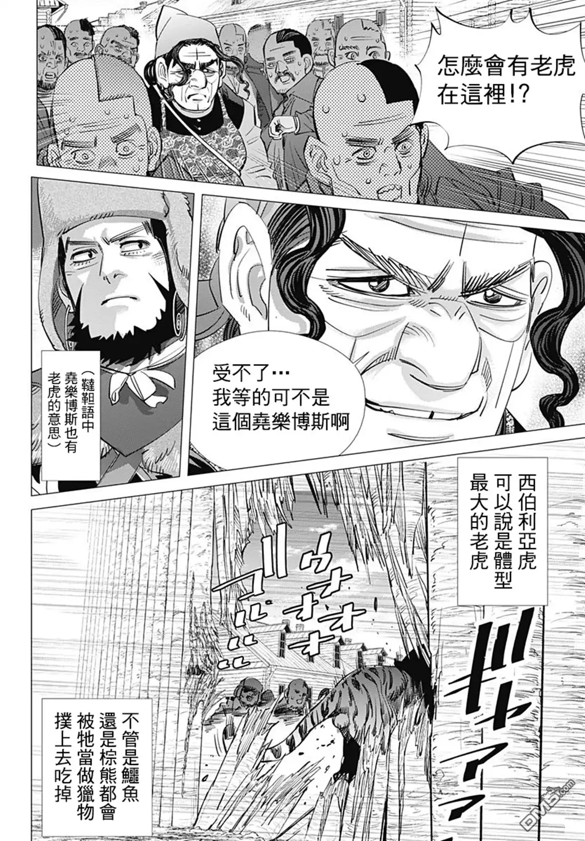 《黄金神威》第181话 西伯利亞虎 第4页