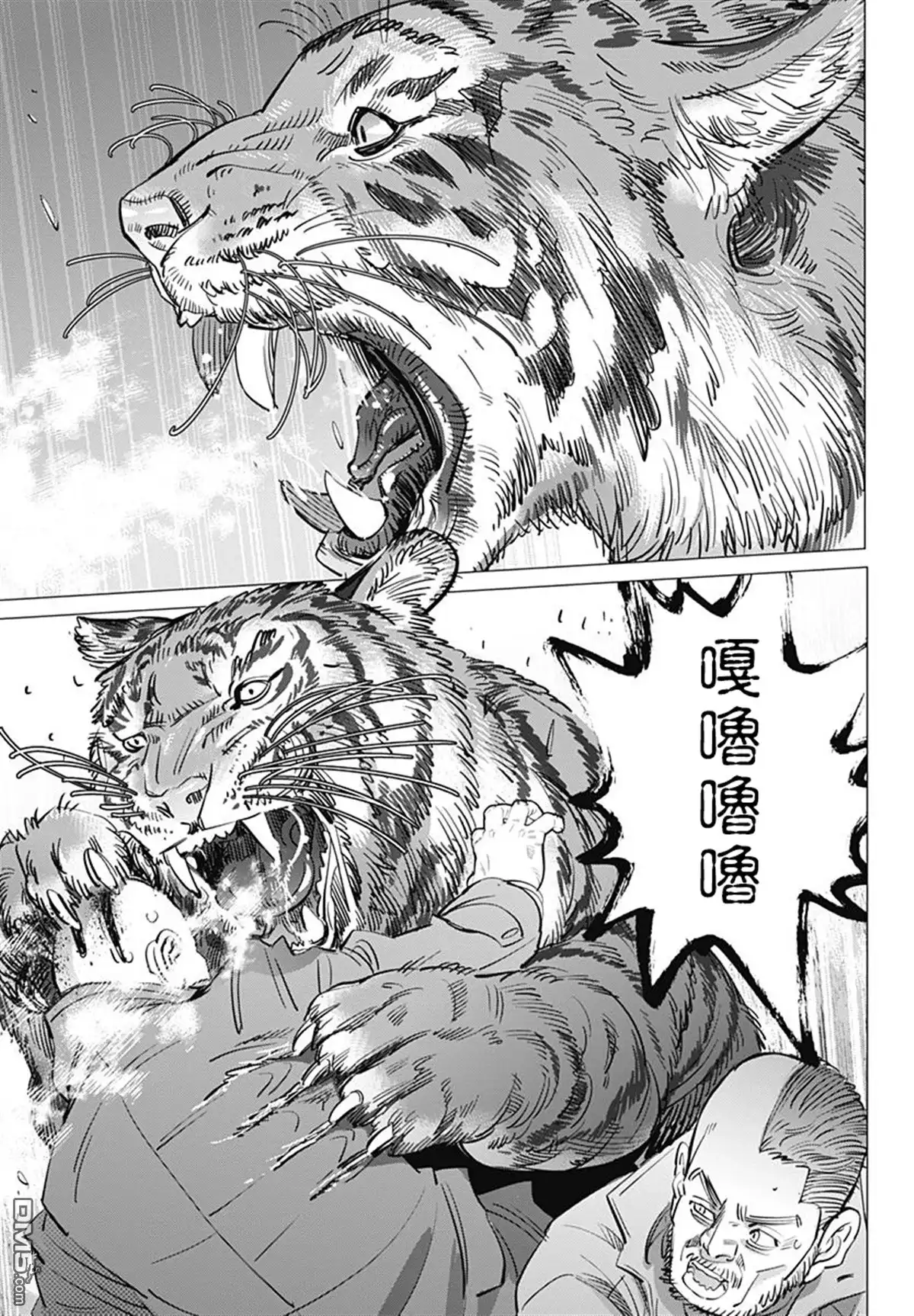 《黄金神威》第181话 西伯利亞虎 第3页