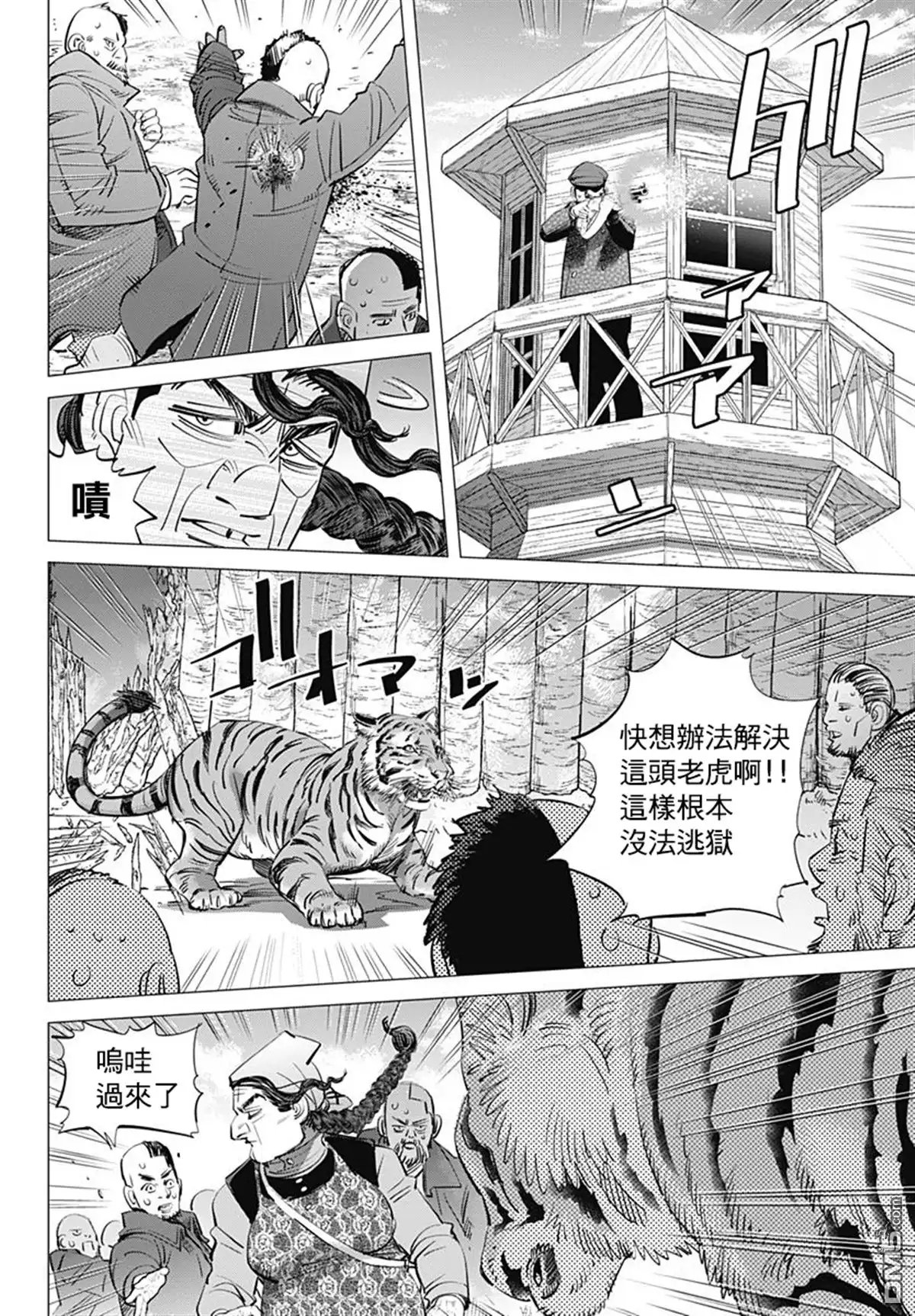 《黄金神威》第181话 西伯利亞虎 第6页