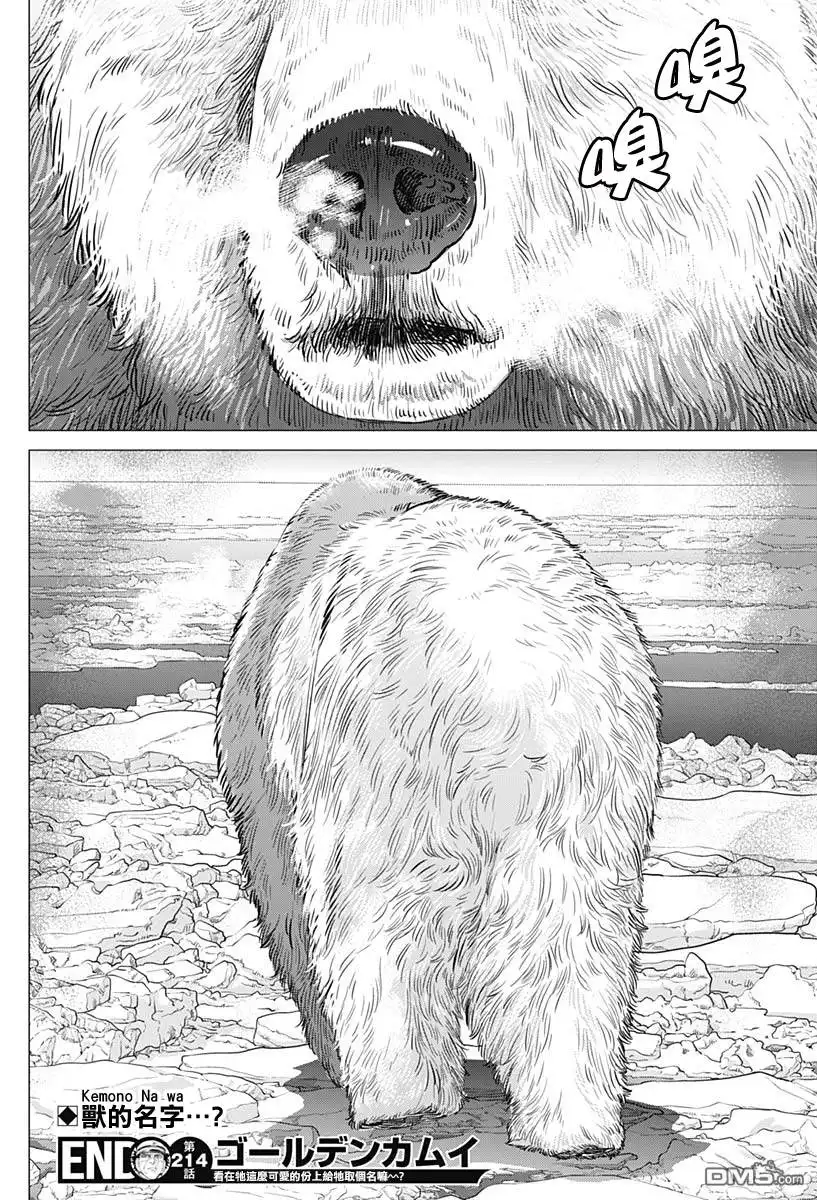 《黄金神威》第214话 雷型驱逐舰VS桦太渡轮 第18页