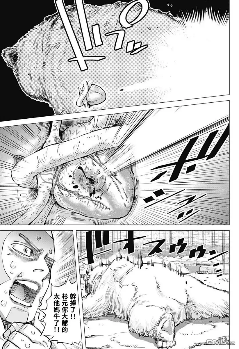 《黄金神威》第216话 谜之白熊 第13页